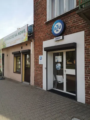 PZU Ubezpieczenia Bełchatów - Agent Honorata Tomaszewska